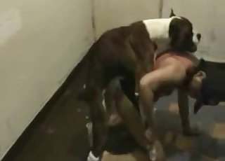 Slender babe fucked nicely by her pet