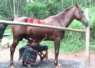 Sexy stallion nicely pounds a wide-opened cunt