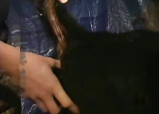 Zoophile stimulates tight anus of a doggy