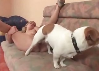 Small pussy fucked by a white dog