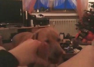 Impressive blowjob by a kinky beast