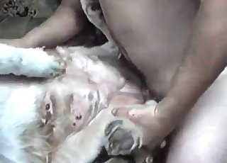 Farm animal pounded hard in missionary pose