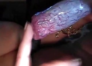 Dog cock is the best cock out there