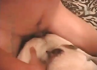 Fucking pregnant doggy in the missionary pose