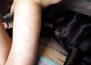 That black dog is the sluttiest