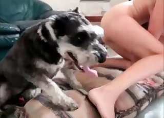 Fat amateur loves riding dog dicks