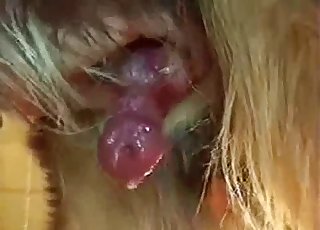 Nice to see how doggy dick is cumming