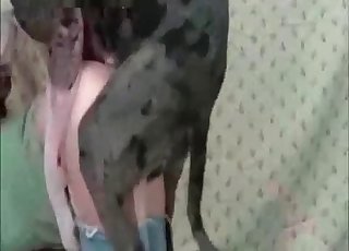 Big balls dog is gonna fuck her good