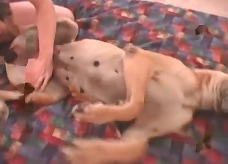 Dude ravages his female pet