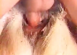 Awesome dog in filthy as fuck bestiality XXX