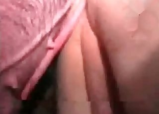 Passionate bestiality with close-ups