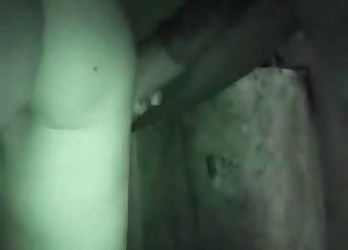 Stallion dick looks insanely massive