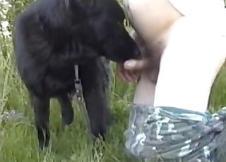 Nasty guy eats his pet ass