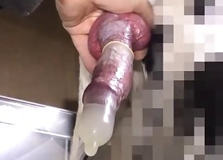 Condom filled to the brim with animal cum