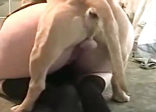 Beast is having nasty banging action with a zoophile