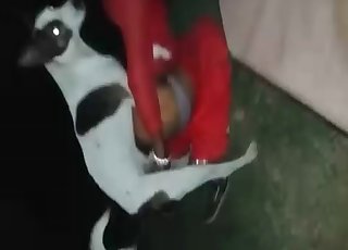 That hole is perfect for dog cock