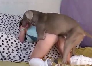 Sexy heels hottie ravaged from behind