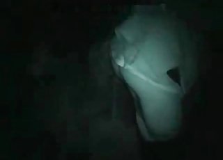 Brutal night bestiality XXX at local farm