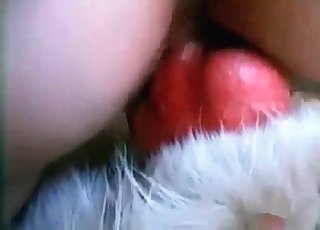 Doggy cock sucked by a blonde