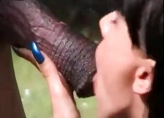 Two brunettes are enjoying stallion dick