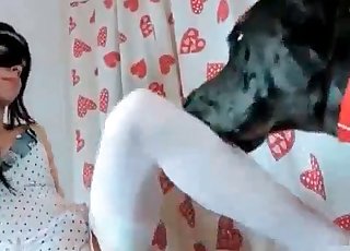 Stunning homemade pound session with animal