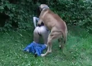 Thong-wearing slut seducing a dog outdoors