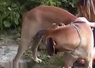 穿着裙子的美女跟踪一只狗