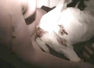 White doggy fucked by filthy old man