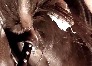 यहाँ हिंसक क्लोज-अप पशुता है