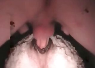 Farmer fucked his sheep in doggy style