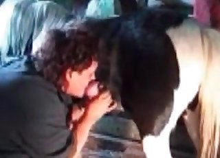 Thick-ass MILF sucking horse's cock