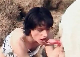 Passionate brunette jerks and sucks a dog dick