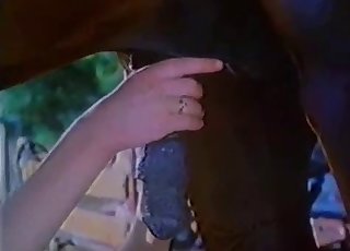 Güzel hatun hayvanlarla cinsel ilişkiye girmeyi deniyor