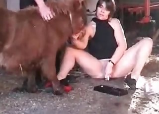 Sexy small pony and perverted zoophile slut