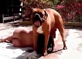 Good blowjob for a nice doggy