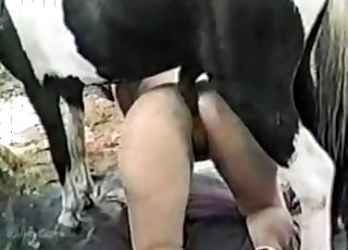 Hardcore anal sex with amazing stallion