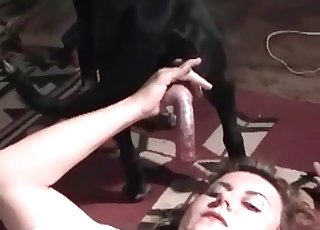 Beauty sucking her amazing doggy