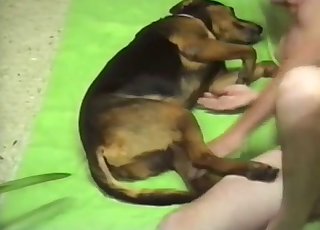 Doggy and zoofil lover in amazing animal sex porn