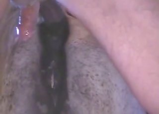 Drilling my own beast from behind