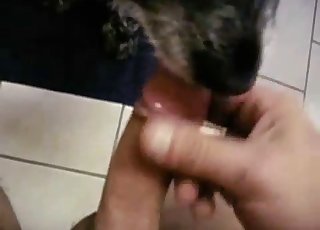 Dude furiously jerking his cock in POV