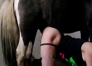 Horse cock is perfect for that hole