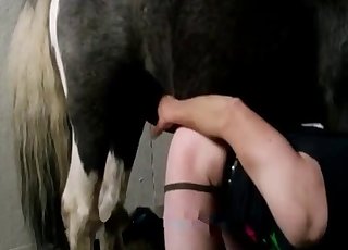 Horse cock is perfect for that hole