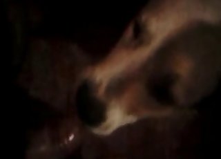 Extreme action in a dark bestiality vid