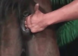 उस वेश्या की गर्म चूत को उजागर करना