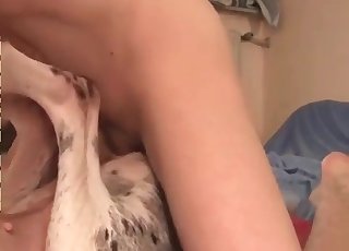 Dude with a big dick gapes a dog