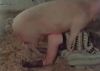 Good farm bestiality action with my wife