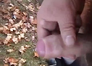 Fucking black dog ass in POV close-up