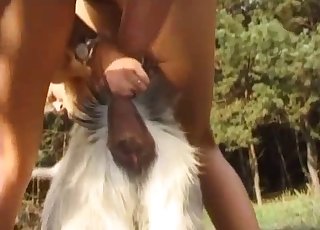 Dude fucking this sexy goat from behind