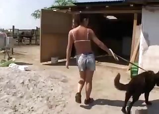 Black hunter dog and brunette in the barn