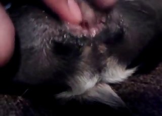 Close-up bestiality action for you